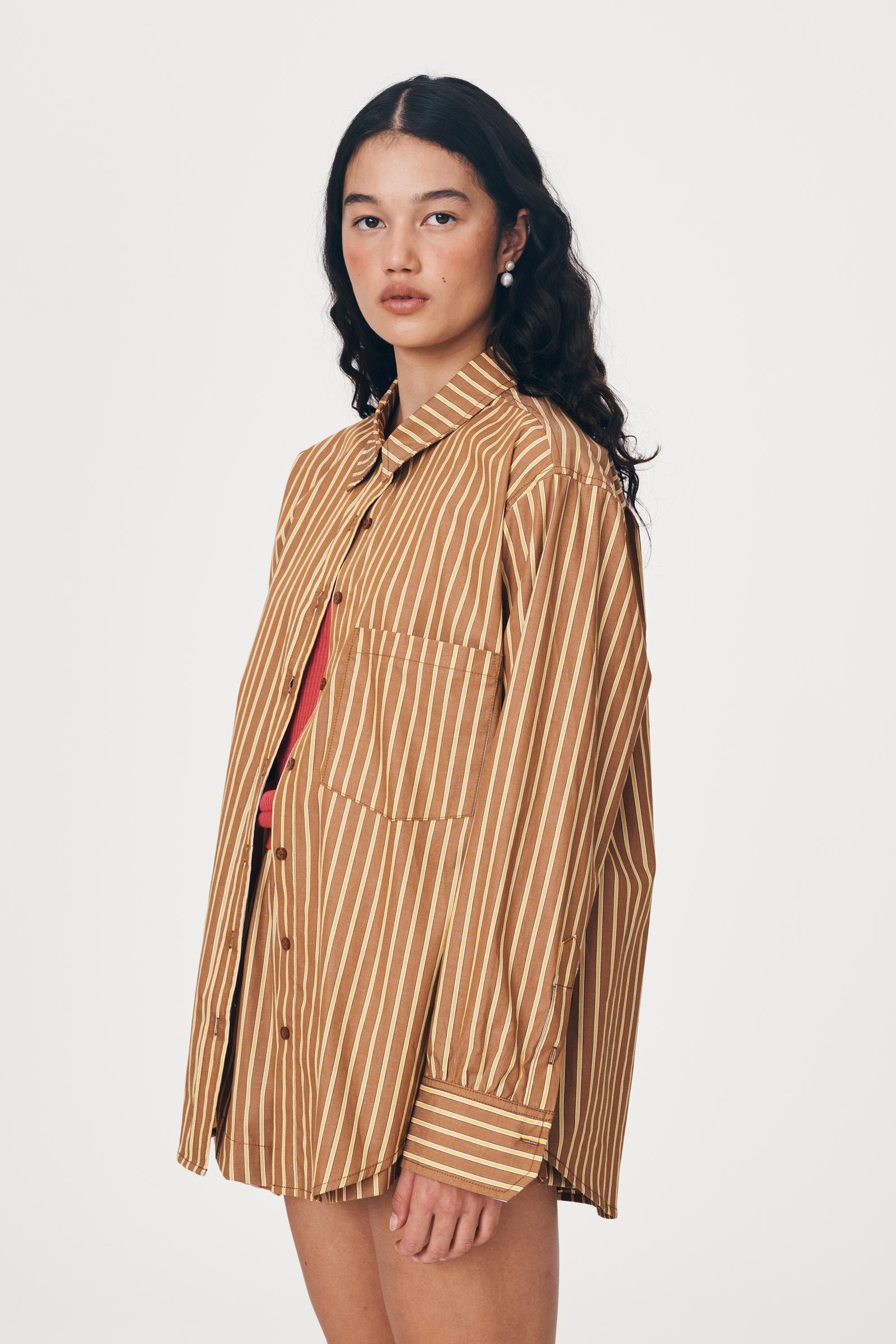 Ramona Stripe Long Sleeve Shirt - Tan Stripe